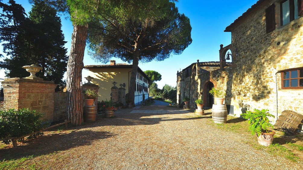 Exterior view of vineyard lodging.