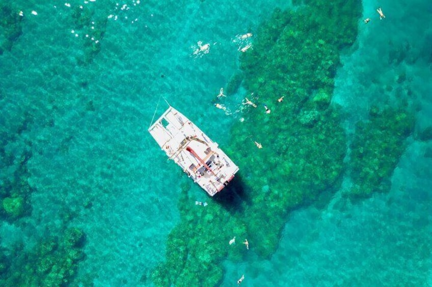 Half-Day Snorkel trip on a Charming Hawaiin Catamaran 8AM-1PM