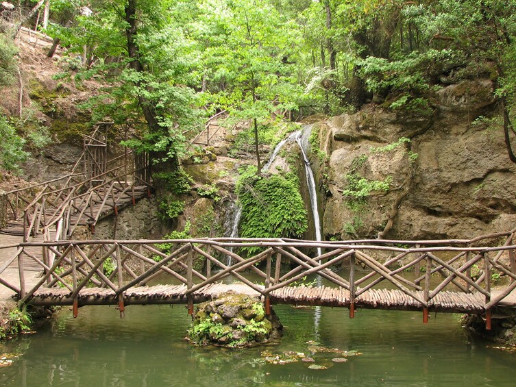 Valley of the Butterflies & Chalki Island Excursion