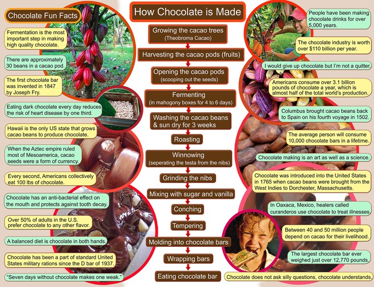 Chocolate Farm Tour & Tasting