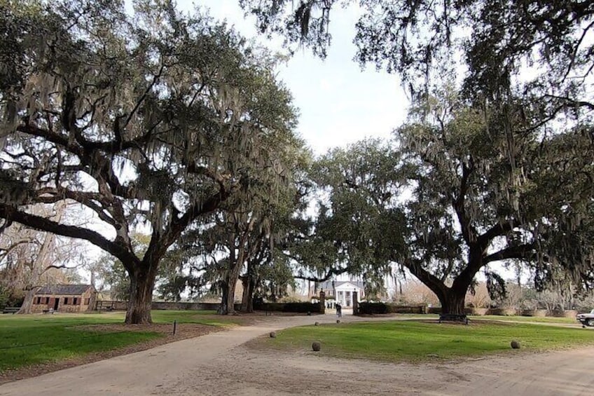 Boone Hall Plantation Tour