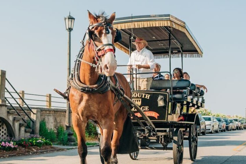 Old South Carriage Company Horse Drawn Carriage Tour
