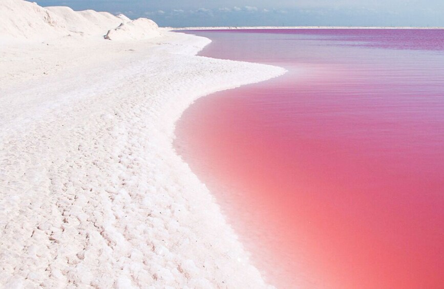Gorgeous Natural Pink Lake, Las Coloradas 