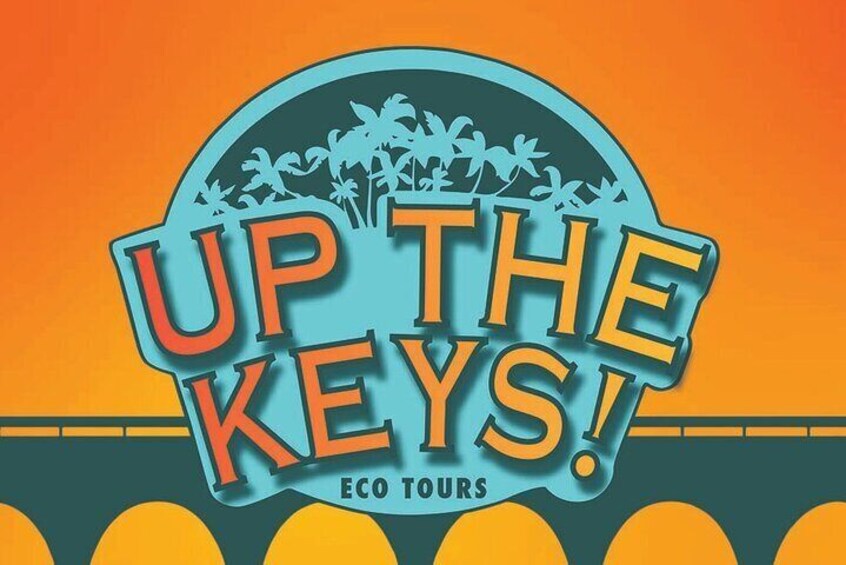 Local tour company bringing the best of the Keys to you!