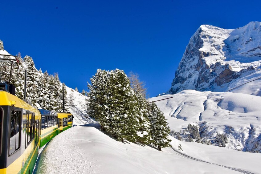 Eiger & Alpine Glaciers Full-Day Tour