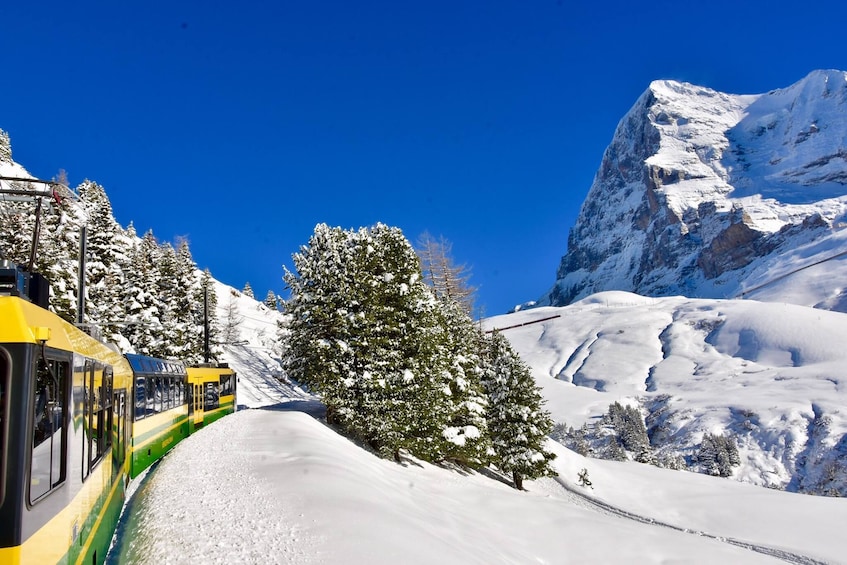 Eiger & Alpine Glaciers Full-Day Tour