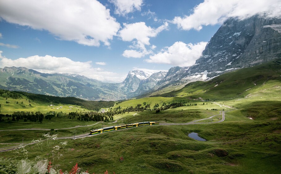 Eiger & Alpine Glaciers Full-Day Tour