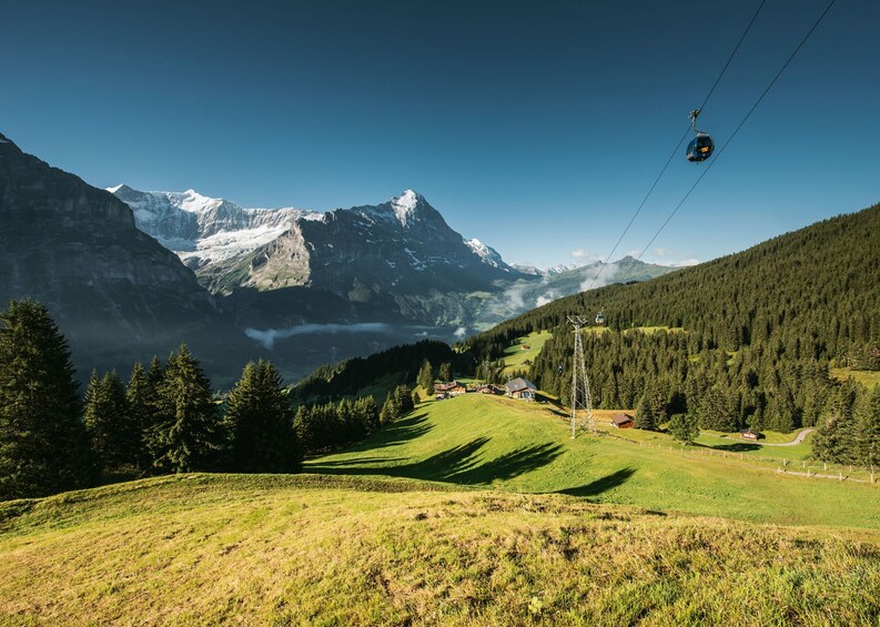 Interlaken & Grindelwald Full-Day Tour from Lucerne