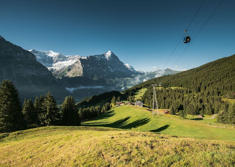 Interlaken & Grindelwald Full-Day Tour from Lucerne