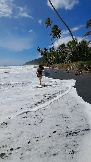 Black Sand Beach and El Yunque Natural Pool-See the Southeast