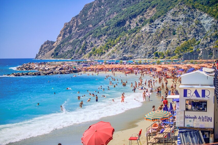 Cinque Terre small group tour: VIP experience from Florence