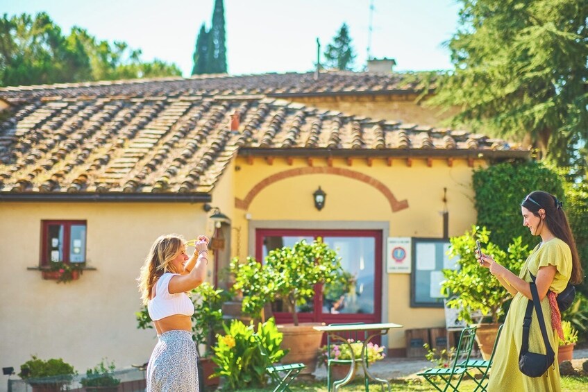 VIP Tour: Wine Tasting & Dinner in the Vineyards of Chianti
