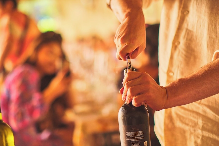 VIP Tour: Wine Tasting & Dinner in the Vineyards of Chianti