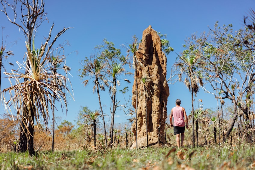 Litchfield Waterfalls Tour with optional Crocodile Cruise