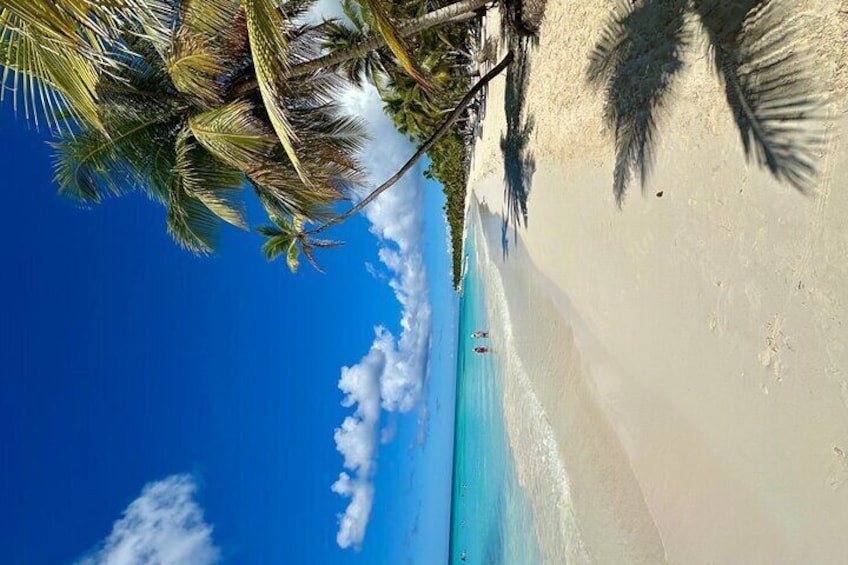Small Group: Saona Island Full Day Tour