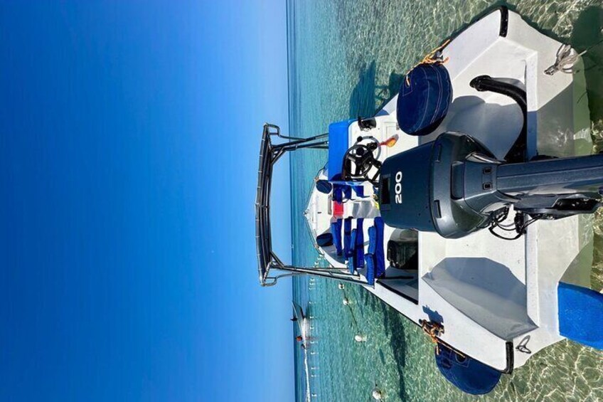 Small Group: Saona Island Full Day Tour
