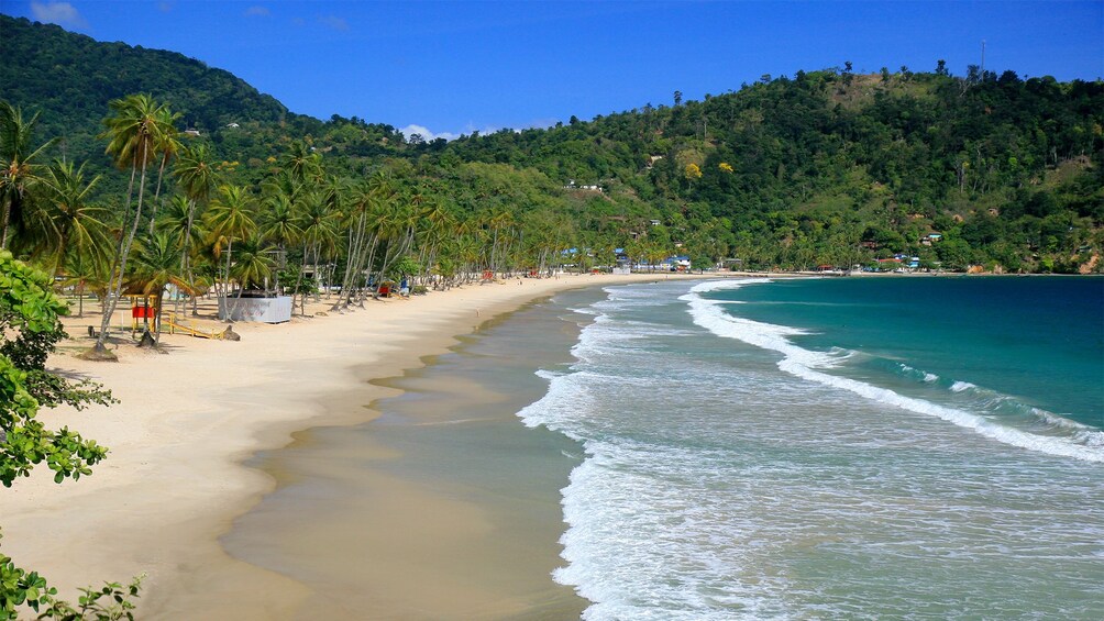 Beautiful beach in Trinidad and Tobago