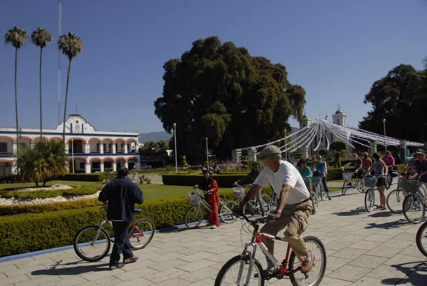 The Tule by Bicycle