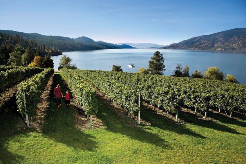West Kelowna 5 Winery Wine Trail 