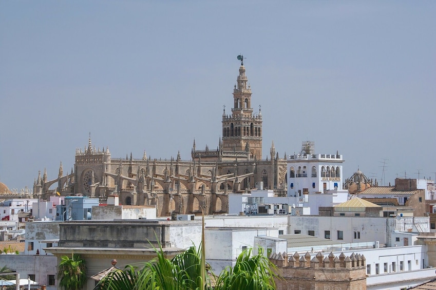 Skip the line combo tour to Alcazar & Cathedral of Seville