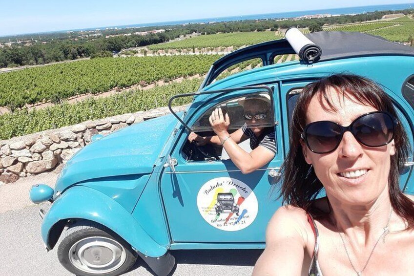 In the vineyards towards Perpignan ...
