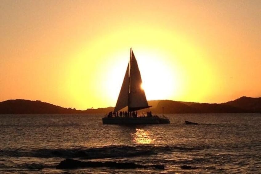 The VI Cat at Sunset