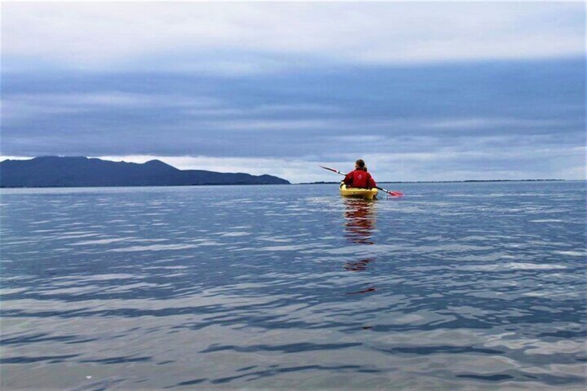 2.5 Hour Guided Sea Kayaking in Roundstone Bay