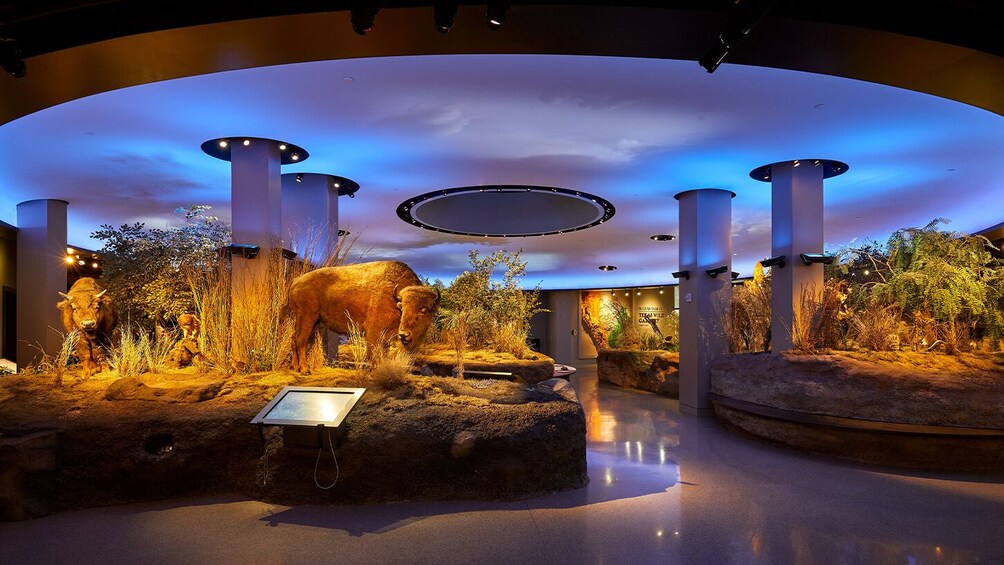 Go City: San Antonio Explorer Pass - Choose 2 to 5 Attractions