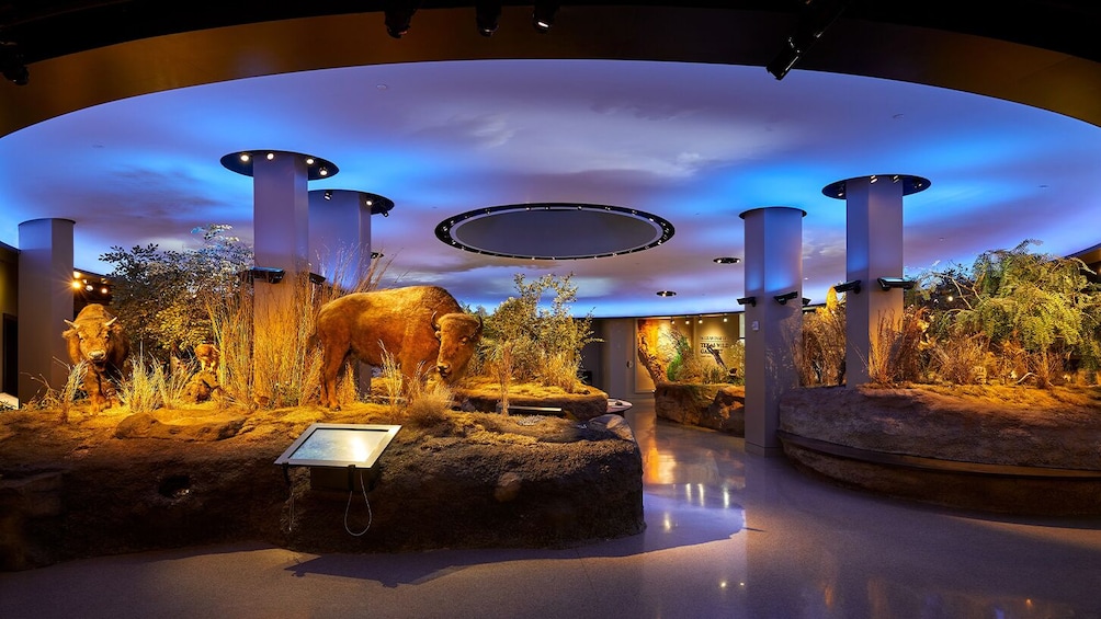 Go City: San Antonio Explorer Pass - Choose 2 to 5 Attractions