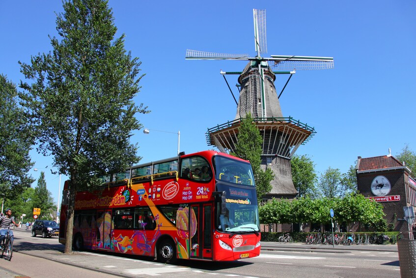 Shore Excursion: Amsterdam Hop-On Hop-Off Bus & Canal Cruise