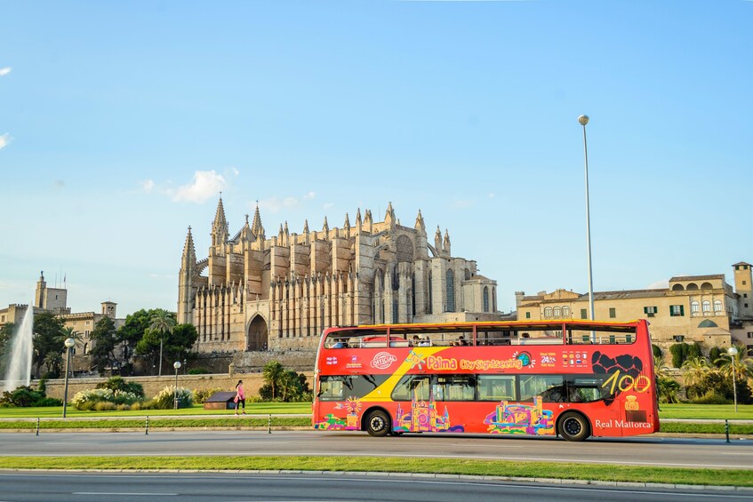 Shore Excursion: Palma de Mallorca Hop-On Hop-Off Bus Tour