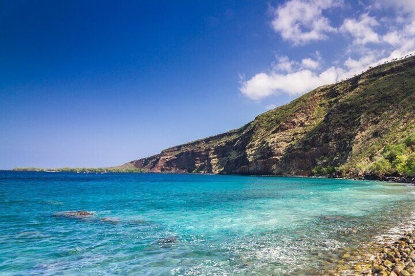 Kona Coast Cruise: Snorkel Kealakekua Bay & Dolphin Encounter