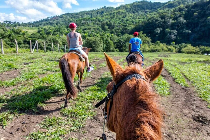 Waterfall Hike, Zip Lining & Horseback Ride Tour With Lunch 