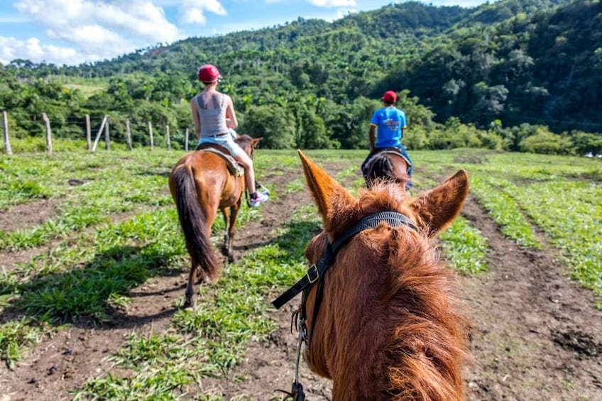 Waterfall Hike, Zip Lining & Horseback Ride Tour With Lunch