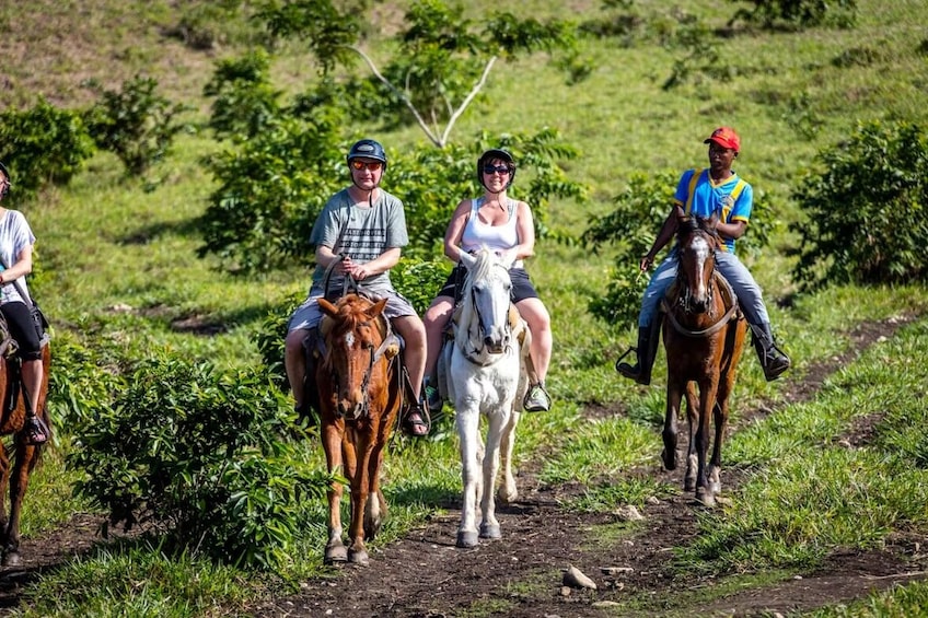 Waterfall Hike, Zip Lining & Horseback Ride Tour With Lunch 