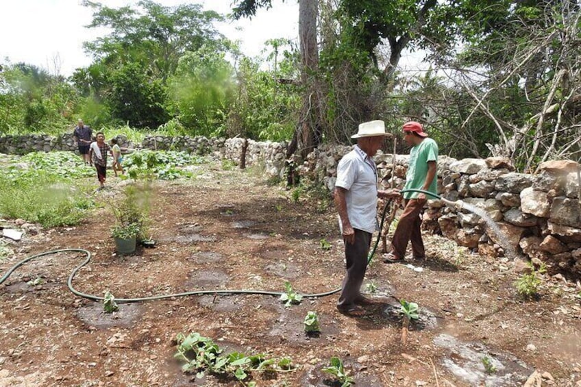 visiting the garden