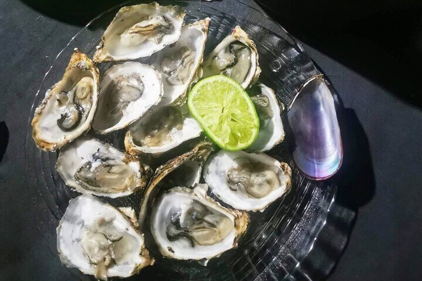 Try locally produced oysters, mussels and scallops (not included)