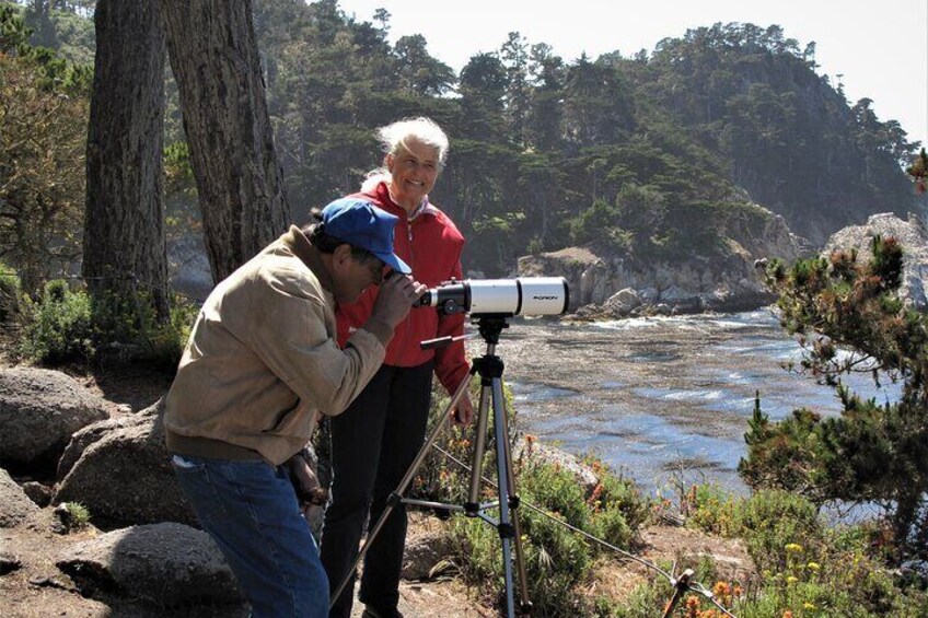 With the high powered telescope you can "spy" wildlife way out in the water. The Dome is in the distance across Blue Fish cove.