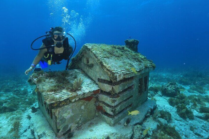 2 Tanks Scuba Diving for Beginners in Cancun ~ Personalized Service