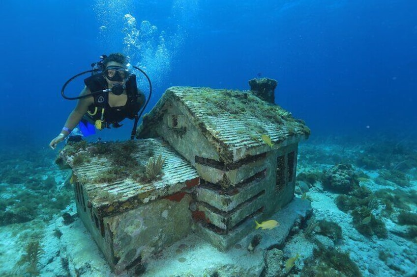 2 Tanks Scuba Diving for Beginners in Cancun ~ Personalized Service