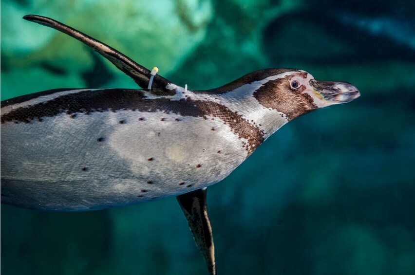 Aquarium de Barcelona
