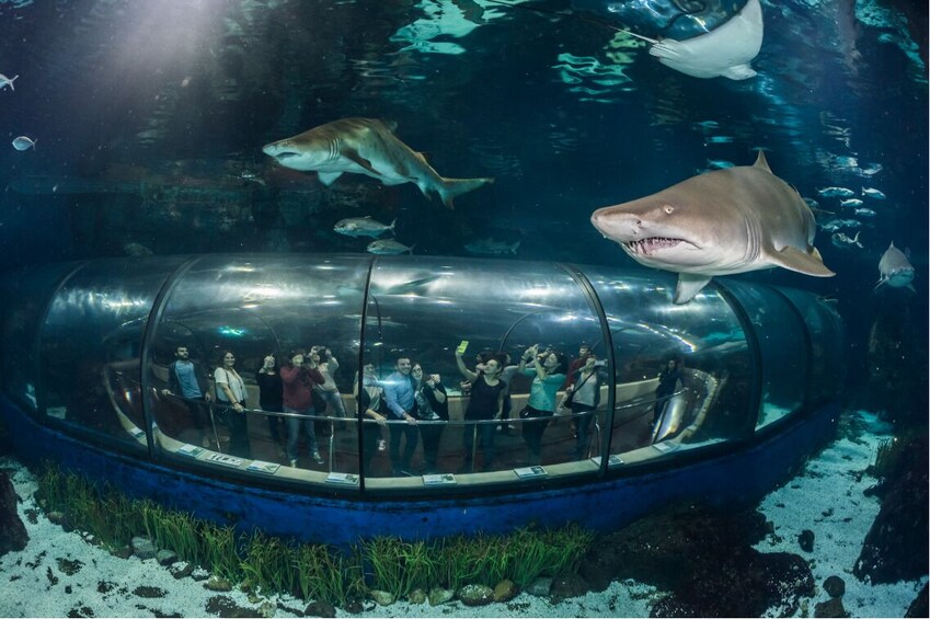 Aquarium de Barcelona