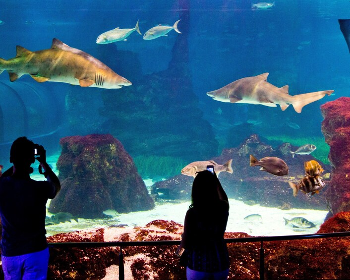 Aquarium de Barcelona
