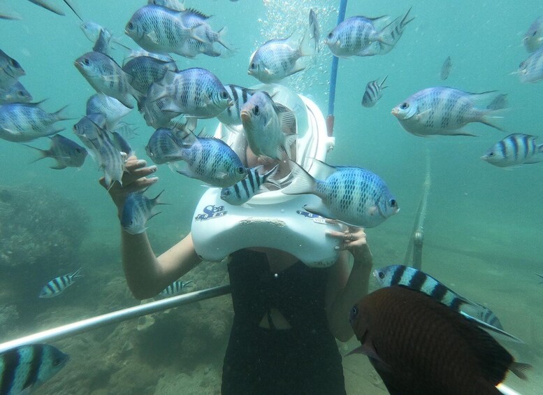 Picture 16 for Activity Cham Island: Underwater Walking & Snorkeling Tour