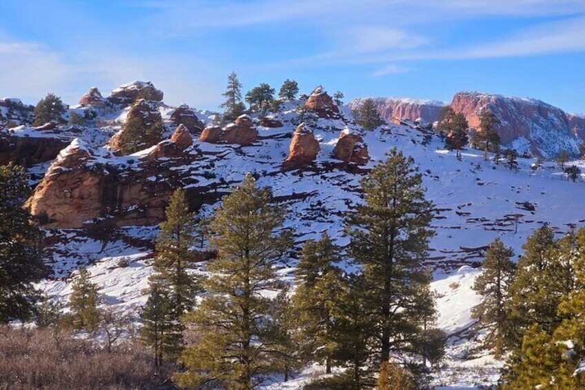 Zion National Park/Kolob Terrace Private 1/2 Day Sightseeing Tour
