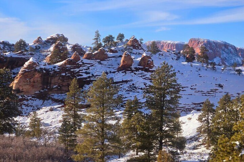 Zion National Park/Kolob Terrace Private 1/2 Day Sightseeing Tour