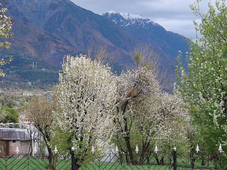 9-Day Wellness And Adventure in Great Himalayan National Park : Manali