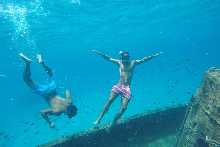 Barbados Swim, Snorkel and Wildlife Experience