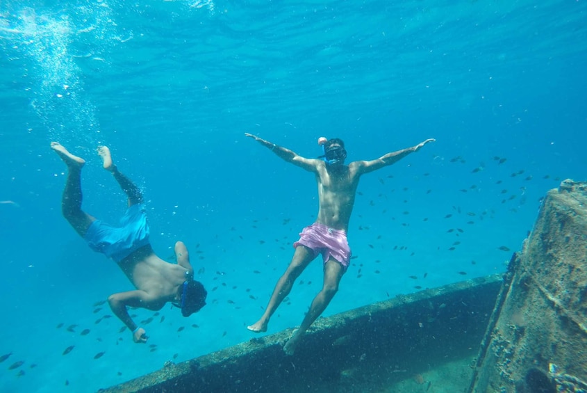 Barbados Swim, Snorkel and Wildlife Experience