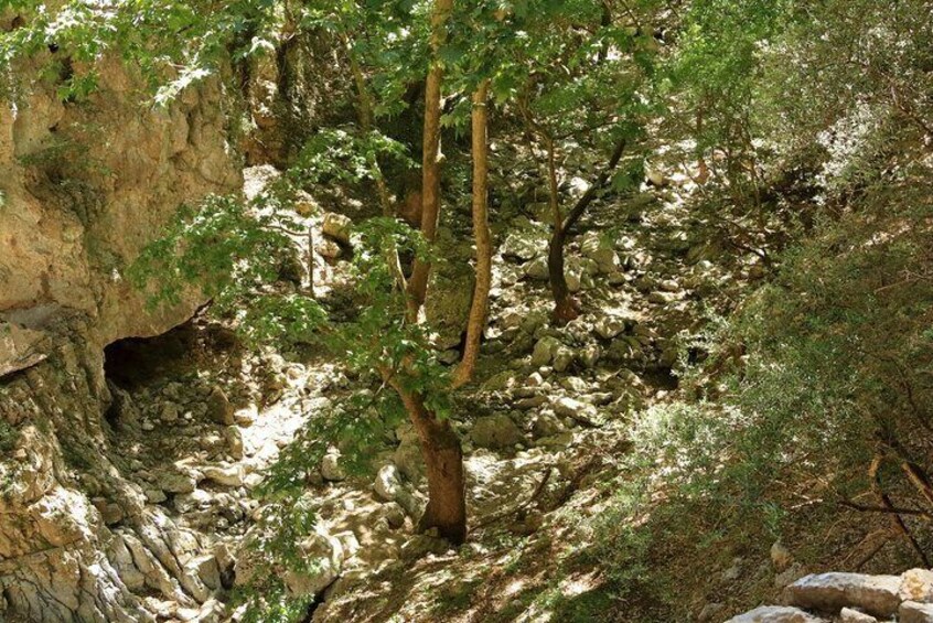 Off-Road: Lake Kournas, Waterfalls, Gorges & Palm Beach Forest 
